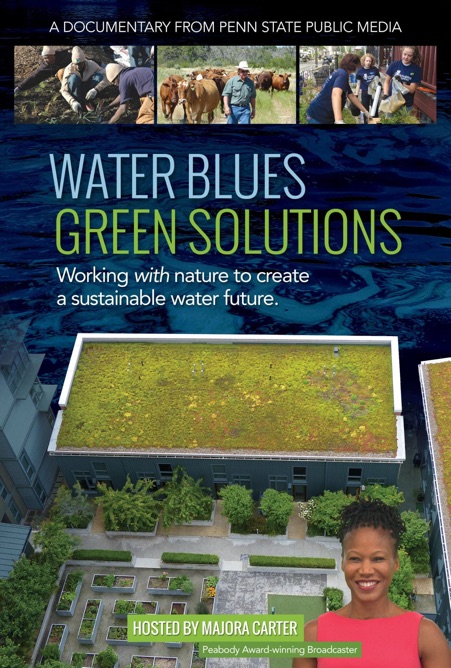 Photo composite primarily composed of a green roof and the words Water Blues Green Solutions